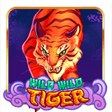 Tabel Bonus New Member 100, Slot Gacor & Link Slot Online Mudah Menang Wild Wild Tiger